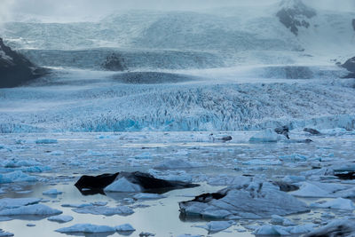 Scenic view of snow covered landscape