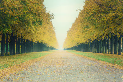 Road amidst trees against sky during autumn