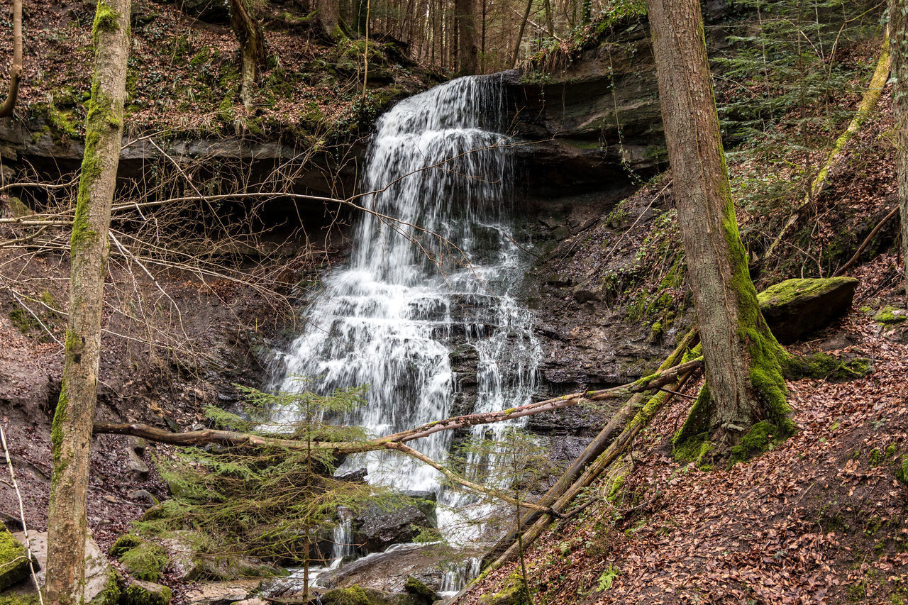 WATER FLOWING THROUGH ROCKS IN FOREST