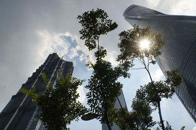 Low angle view of trees against sky