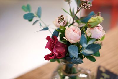 Close-up of flowers in vase