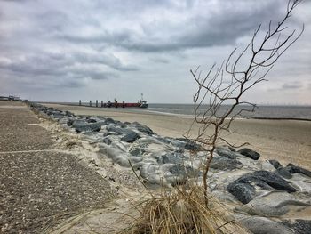 Scenic view of beach against sky