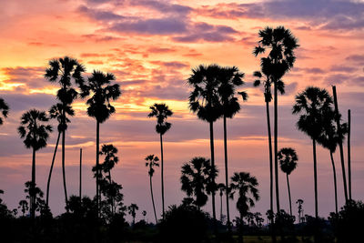 Silhouette palm trees against dramatic sky during sunset