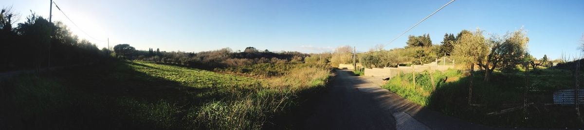 Panoramic view of landscape against clear sky