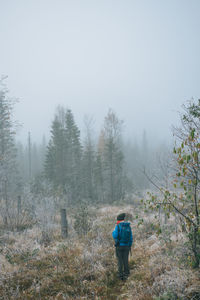 Rear view of woman standing in forest