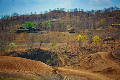 Scenic view of landscape against sky