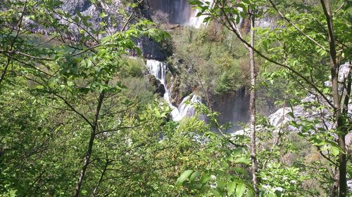 Scenic view of waterfall