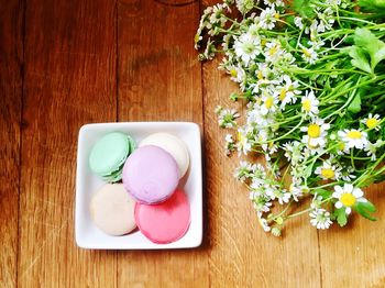 High angle view of macaroons on table