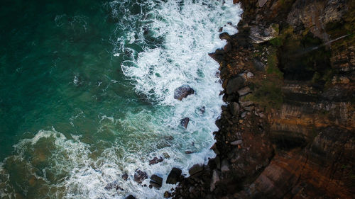 Free image of reef coral sea