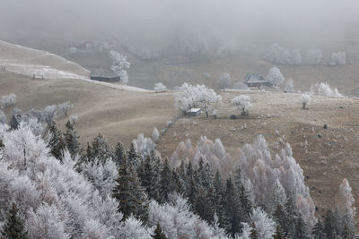 Scenic view of foggy mountains