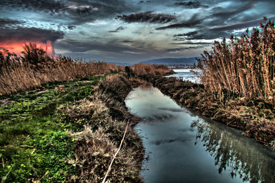 Stream amidst trees against sky