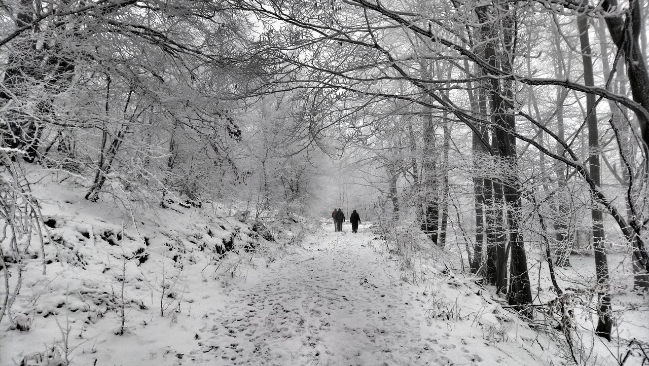 REAR VIEW OF PEOPLE WALKING ON SNOW COVERED BARE TREES