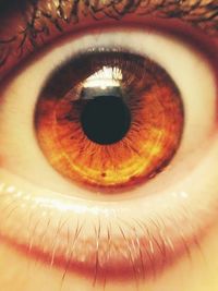 Extreme close up of human eye