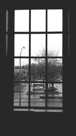 Trees seen through window