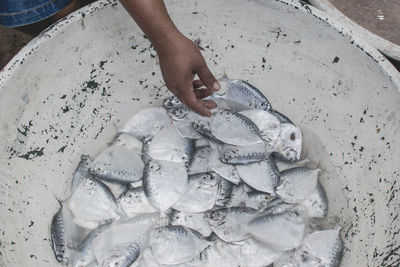 Cropped hand reaching fish at market