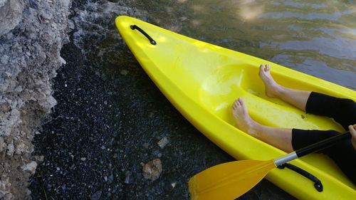 High angle view of yellow water lily