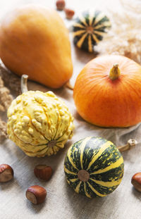 A rustic autumn still life with pumpkins on textile background