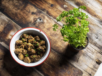 High angle view of cactus plants