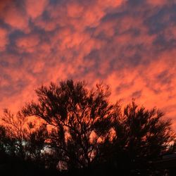 Silhouette of trees against cloudy sky at sunset