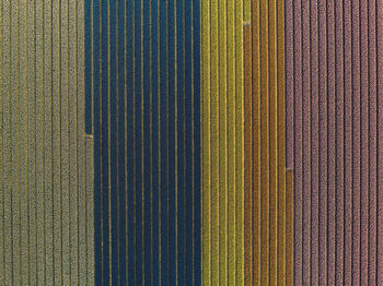 Aerial view of agricultural field