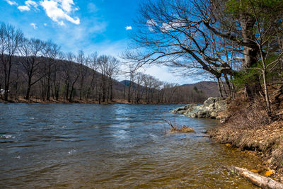 River amidst bare trees in forest against sky