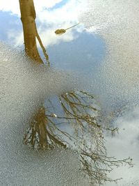 High angle view of frozen trees on beach against sky
