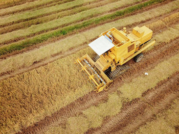 High angle view of agricultural field