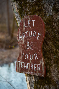 Close-up of information sign on tree trunk