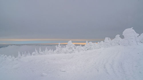snow
