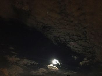 Low angle view of silhouette trees against sky at night