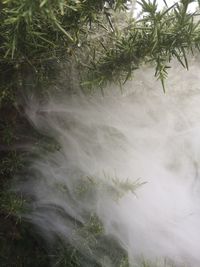 Scenic view of waterfall