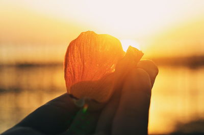 Close-up of hand holding orange flower against sky during sunset