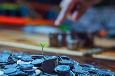 Close-up of plant on coins with hand pointing over table