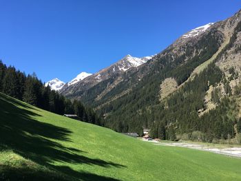 Scenic view of landscape against clear sky