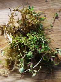 Close-up of vegetables on table