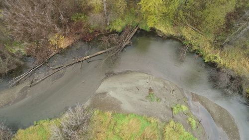 High angle view of river amidst trees