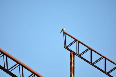 Low angle view of bird on a metalic structure against clear blue sky