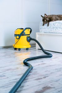 French bulldog looking at vacuum cleaner at home