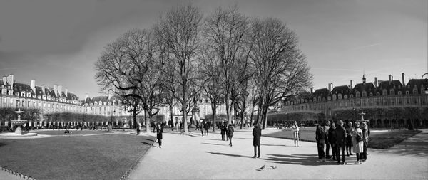 Group of people on bare tree in city