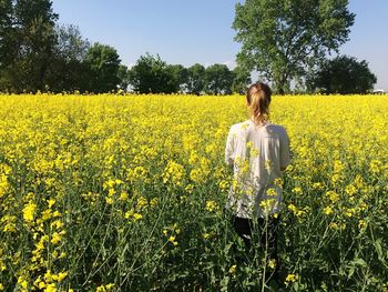 Rear view of young woman standing in field