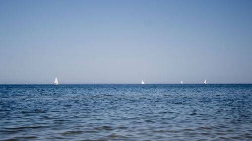 Sailboat sailing in sea against clear sky