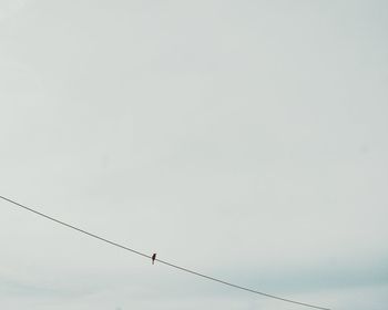 Low angle view of power lines against sky