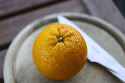 Close-up of fruit in plate