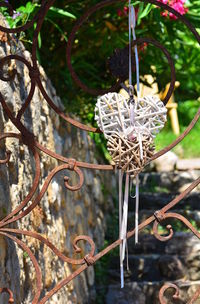 Close-up of twig on branch