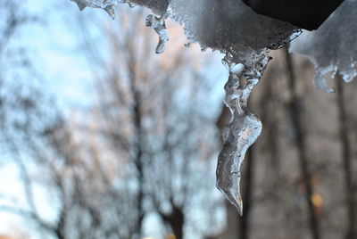 Close-up of icicles during winter