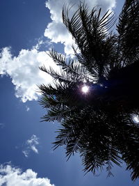 Low angle view of silhouette tree against sky