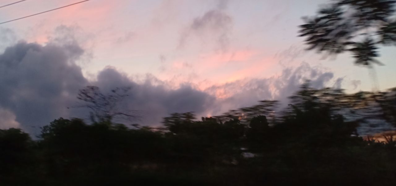 sky, beauty in nature, tree, sunset, tranquility, plant, cloud - sky, no people, tranquil scene, scenics - nature, silhouette, nature, non-urban scene, outdoors, orange color, growth, idyllic, dusk, selective focus