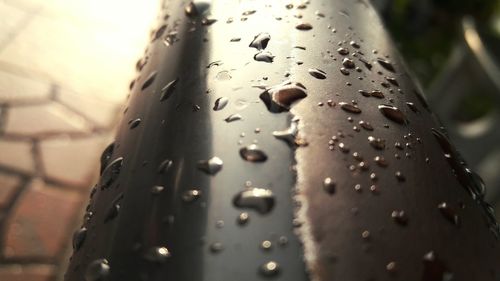 Close-up of drops on leaf