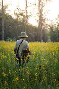 Yellow flowers growing in field