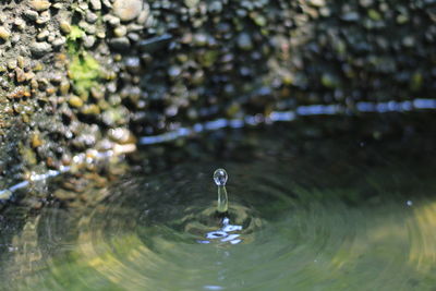 Close-up of drop falling on water